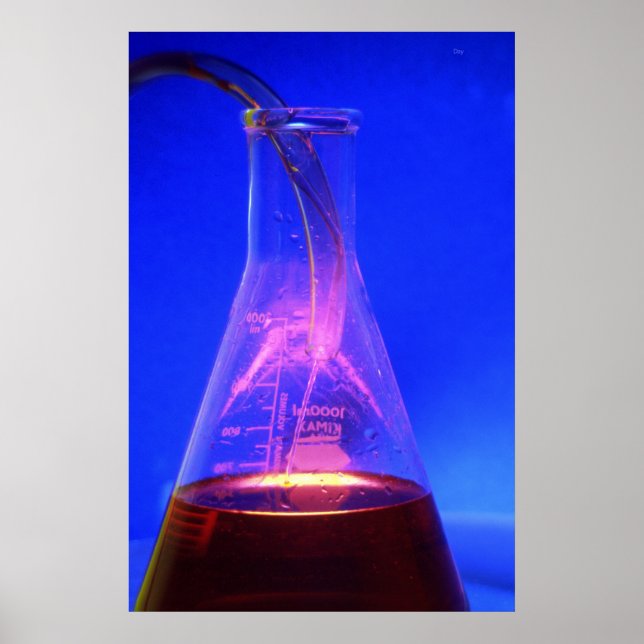 Beaker and Tube Poster (Front)