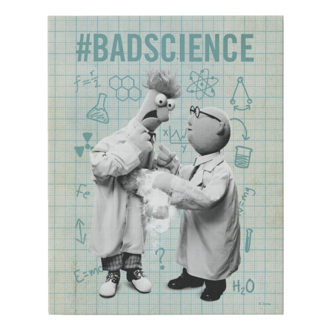 Beaker & Bunsen | #BadScience Faux Canvas Print (Front)