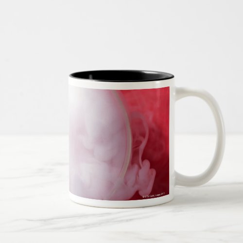 Beaker Two_Tone Coffee Mug