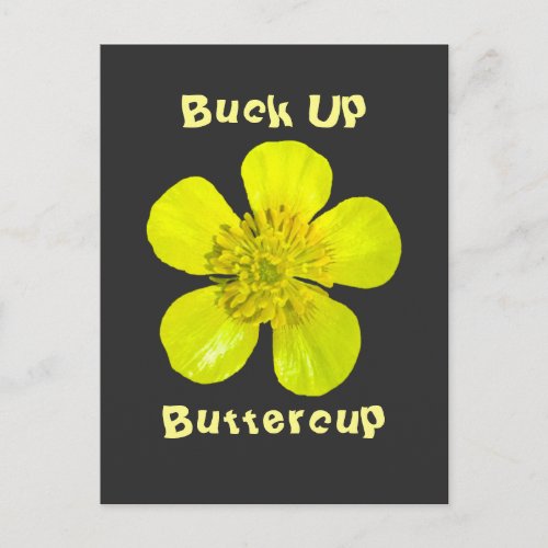 Beaming Buttercup Flower _ Buck Up Buttercup Postcard