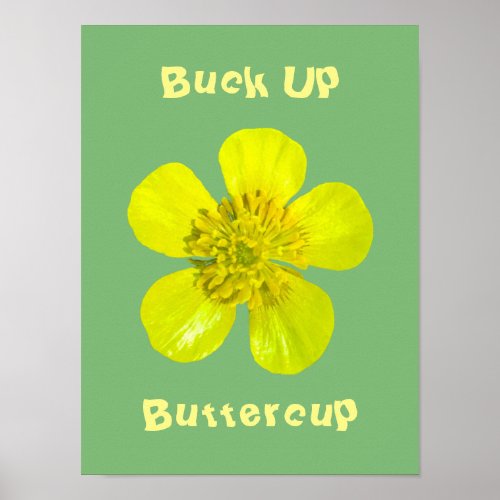 Beaming Buttercup Flower _ Buck Up Buttercup Poster