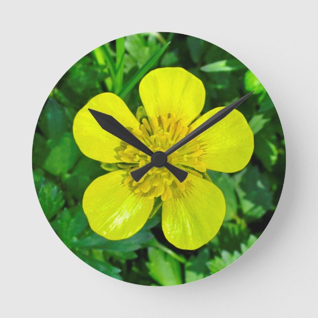 Beaming Buttercup Flower. Round Clock (Front)