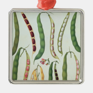 Beans Metal Ornament