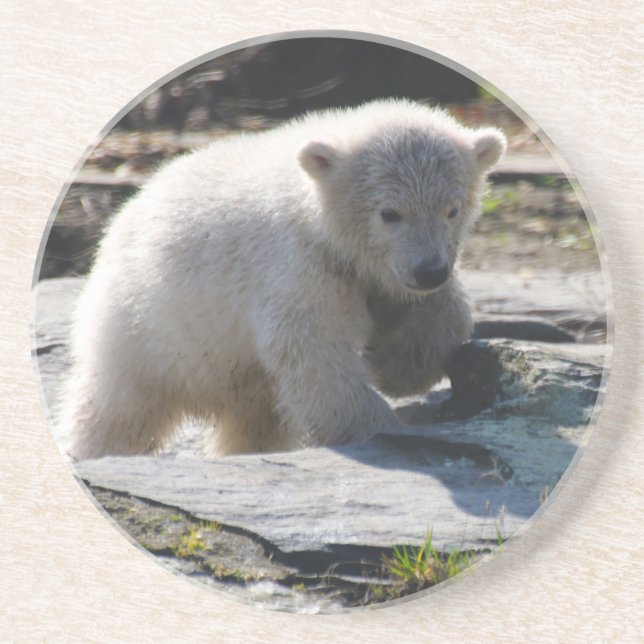 Bear 07 coaster (Front)