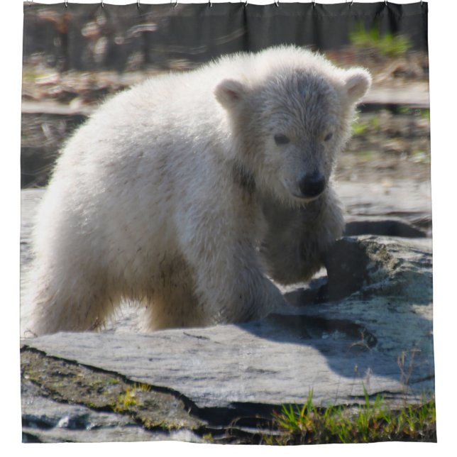 Bear 07 shower curtain (Front)