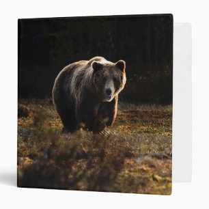 Bear 3 Ring Binder