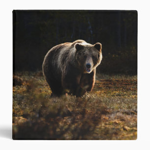 Bear 3 Ring Binder
