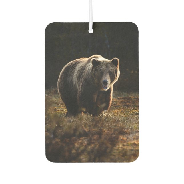 Bear Air Freshener (Front)
