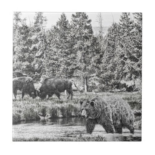 Bear and Baffalo Art Tile