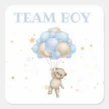 Bear and Bunny Gender Reveal Team Boy