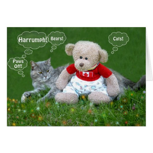 Bear and Cat Cards (Front Horizontal)