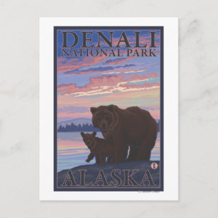 Bear and Cub - Denali National Park, Alaska Postcard