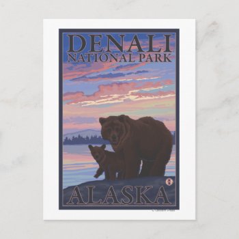 Bear And Cub - Denali National Park  Alaska Postcard by LanternPress at Zazzle