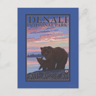 Bear and Cub - Denali National Park, Alaska Postcard