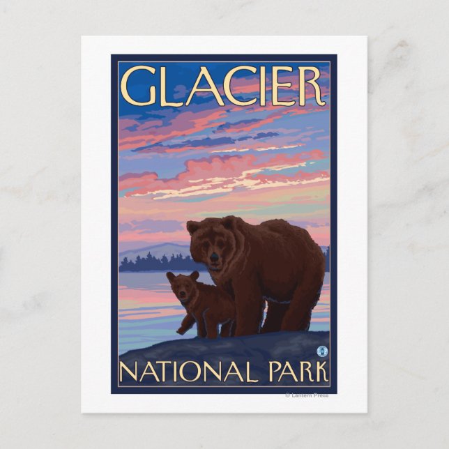 Bear and Cub - Glacier National Park, MT Postcard (Front)