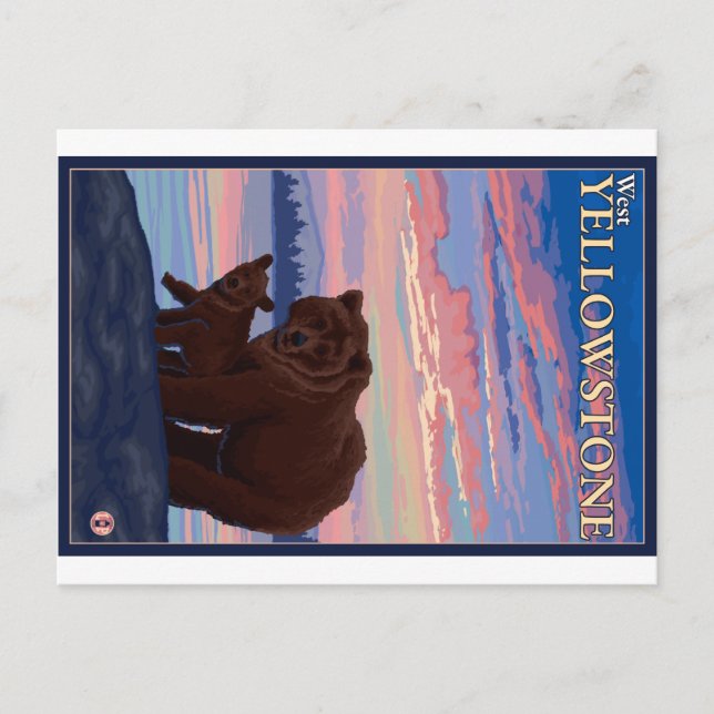 Bear and Cub - West Yellowstone, Montana Postcard (Front)