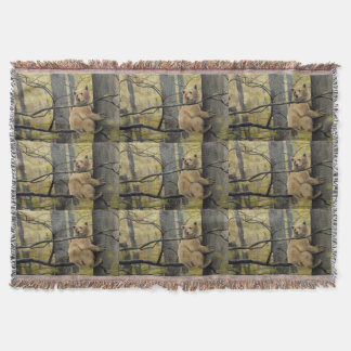Bear Art Blankets Kermode Bear Throw Blanket