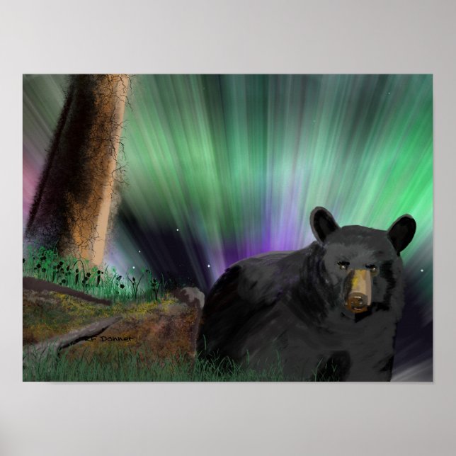 bear aurora poster (Front)