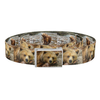 Bear Belt
