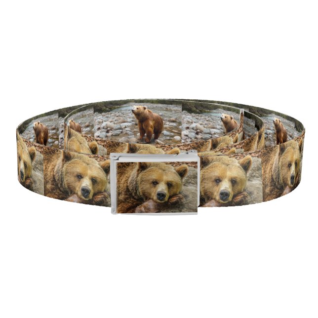 Bear Belt (Coil)