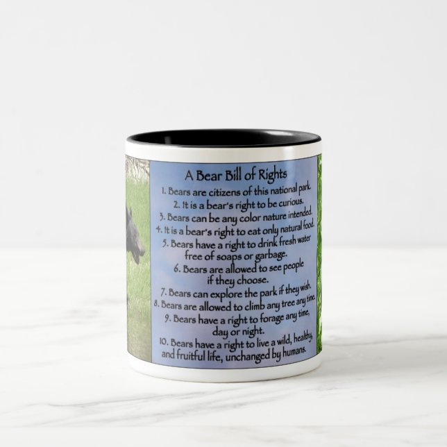 Bear Bill of Rights Mug (Center)