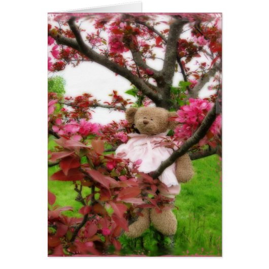 Bear Blossoms Cards (Front)