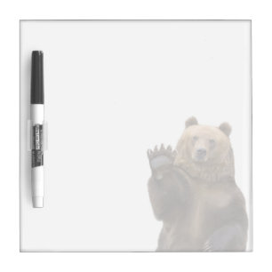 Bear Board