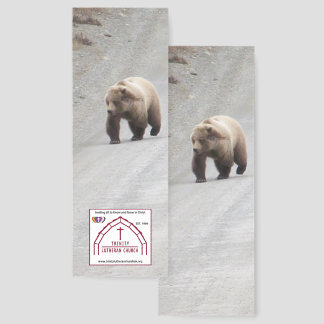 Bear Bookmarks