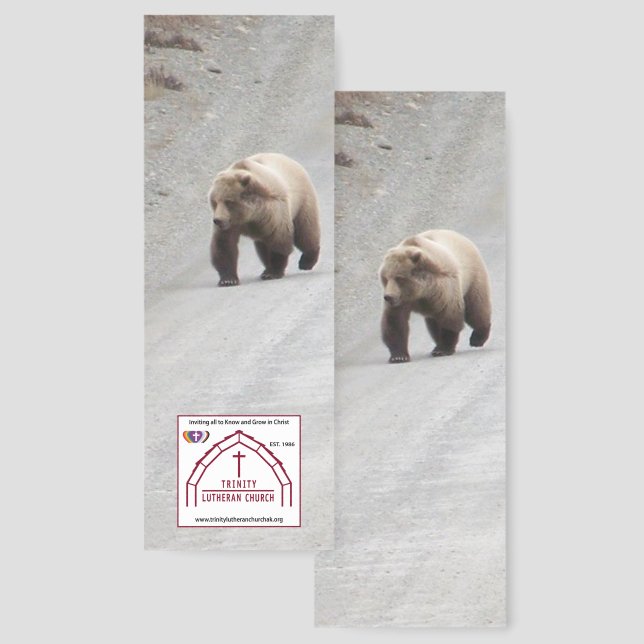 Bear Bookmarks (Front & Back)
