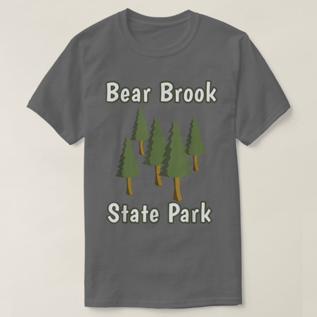 Bear Brook State Park New Hampshire Forest Woods C T-Shirt (Design Front)