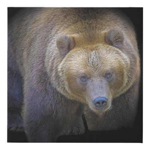 Bear Brown Grizzly Animal Life Wild Jungle Forest Faux Canvas Print