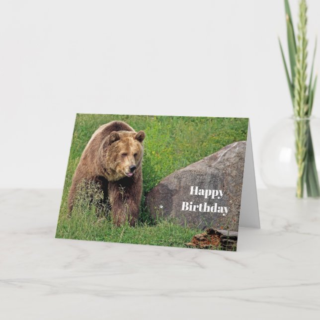 Bear Brown Grizzly Photo Birthday Card (Front)