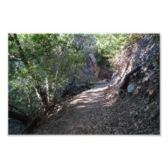 Bear Canyon Campground Photo Print (Front)
