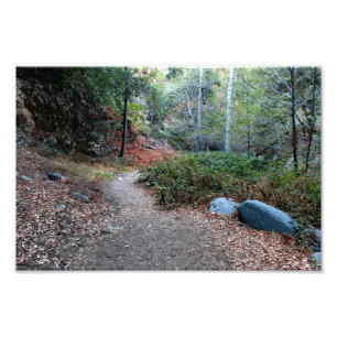 Bear Canyon Campground Photo Print