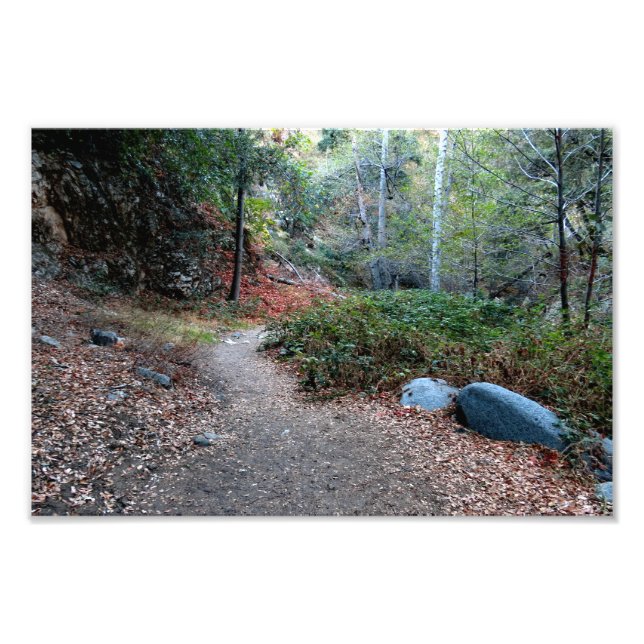 Bear Canyon Campground Photo Print (Front)