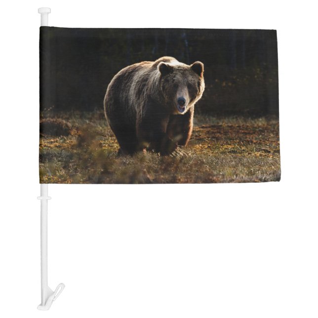 Bear Car Flag (Front)