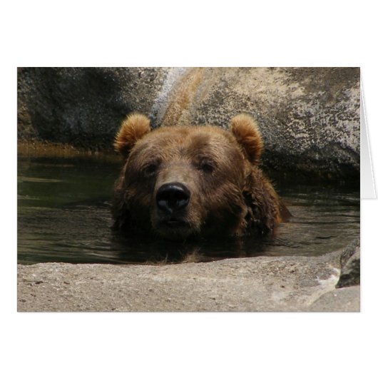 Bear Cards (Front Horizontal)