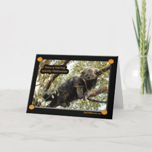 Bear cats & Binturong Halloween Card