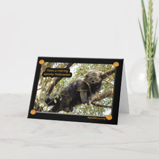 Bear cats & Binturong Halloween Card