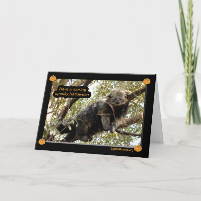 Bear cats & Binturong Halloween Card (Front)