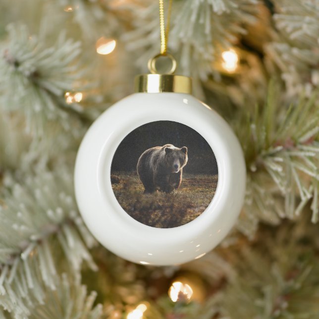 Bear Ceramic Ball Christmas Ornament (Tree)