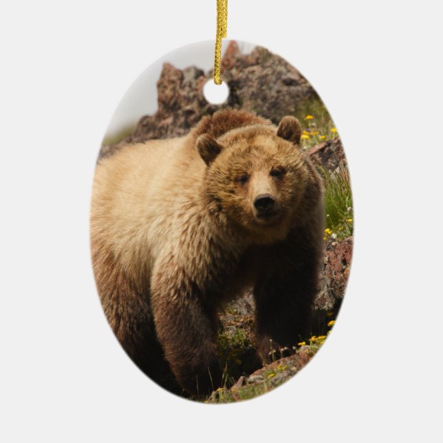 bear ceramic ornament (Front)