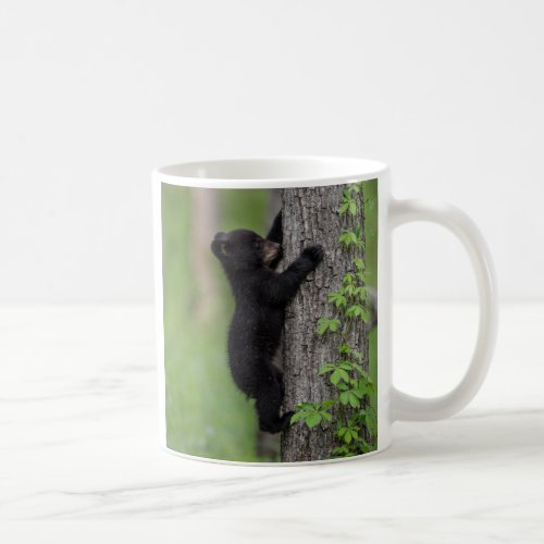 Bear Cub Climbing a Tree Coffee Mug