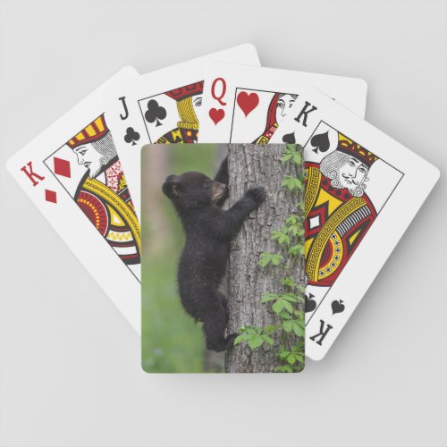 Bear Cub Climbing a Tree Poker Cards