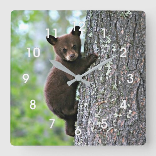 Bear Cub Climbing a Tree Square Wall Clock