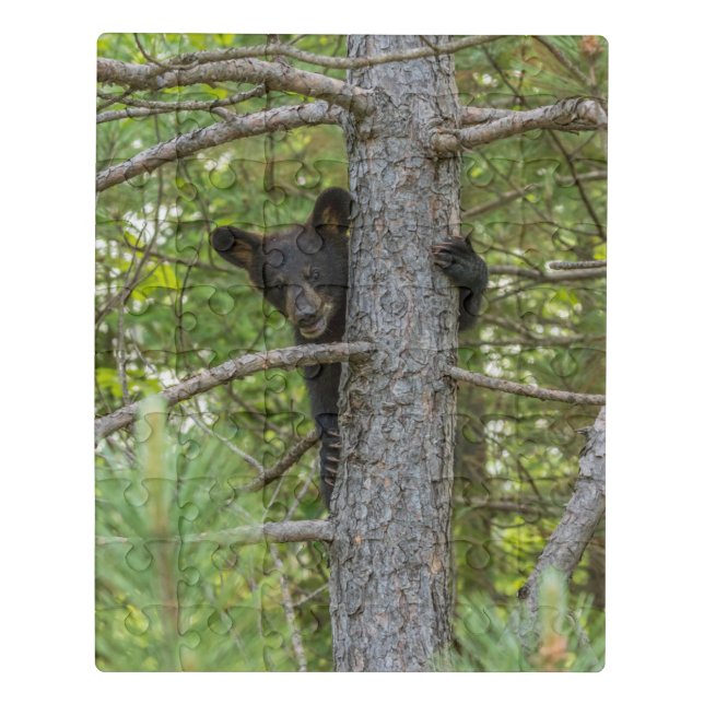Bear Cub Climbing Tree Jigsaw Puzzle (Puzzle Vertical)