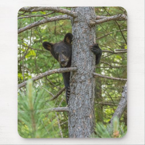 Bear Cub Climbing Tree Mouse Pad
