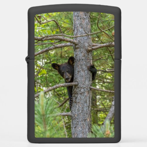 Bear Cub Climbing Tree Zippo Lighter