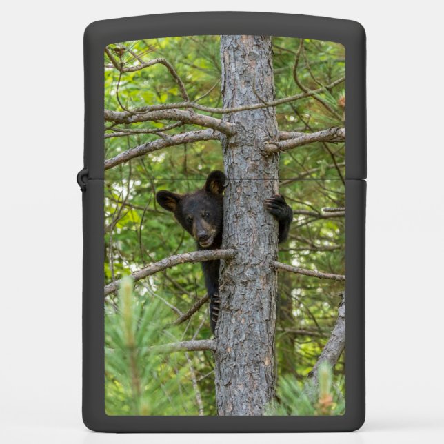 Bear Cub Climbing Tree Zippo Lighter (Front)
