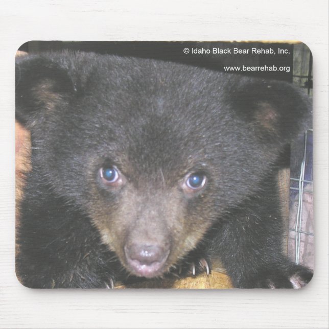 Bear Cub Close-Up Face Mousepad (Front)